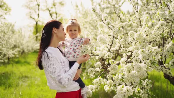 Mom with a Little Daughter in Her Arms in the Park By a Flowering Trees alt