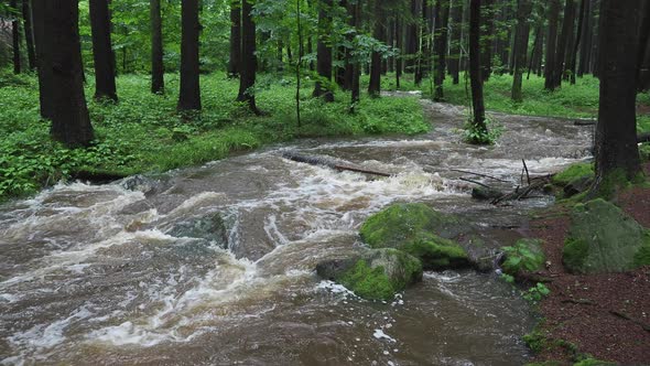 Flooded river Doubrava in Czech Republic. Valley Doubrava near Chotebor. alt