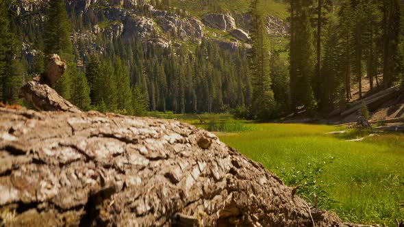 Sotcher Lake in the Ansel Adams Wilderness in California USA alt