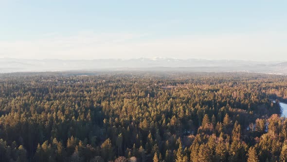 Flight Over Alpine Forest Durring Sunset Among Rural Path alt