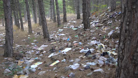 Waste And Garbage Pollute The Forest