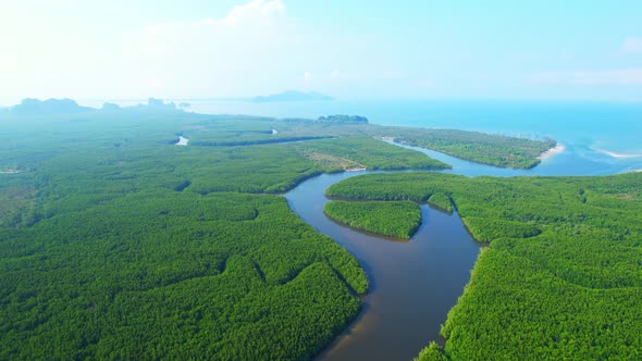 Top view of winding river in tropical mangrove green tree forest in khao jom pa alt