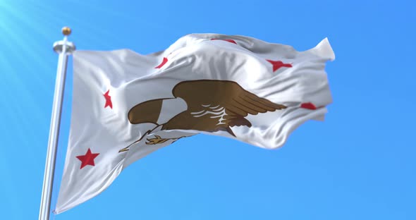 Republic of Madawaska Flag alt