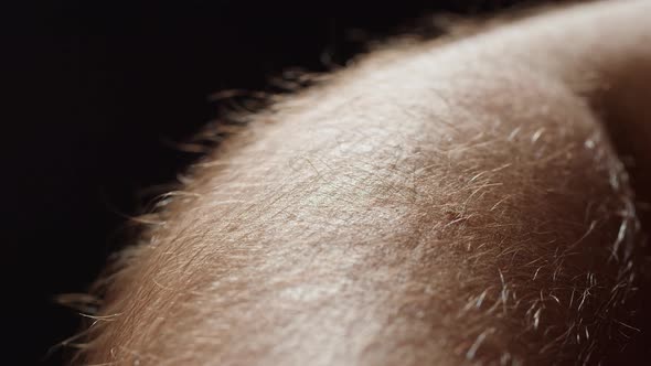 Hand Surface with Hair Closeup alt