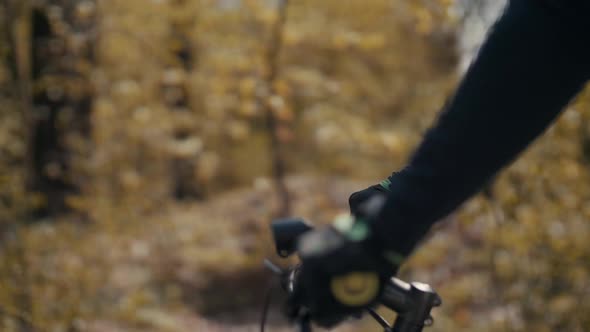 Male mountain biker riding in the forest alt