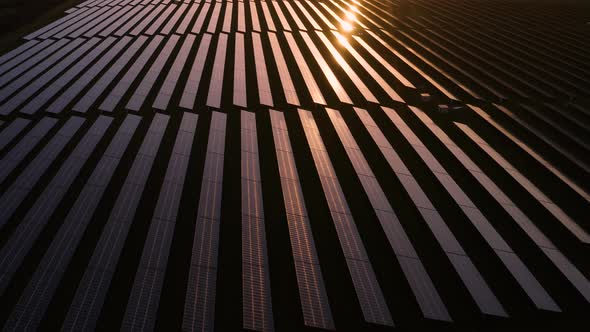 Solar farm at sunrise