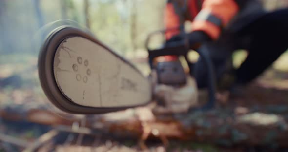 The chainsaw starts up close-up. Lumberjack tool. High quality 4k footage