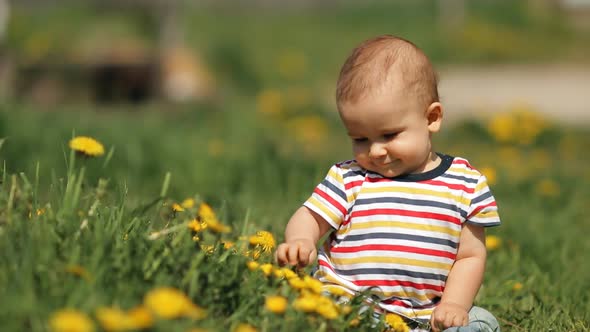 Little Child Sits on the Grass Among the Flowers
