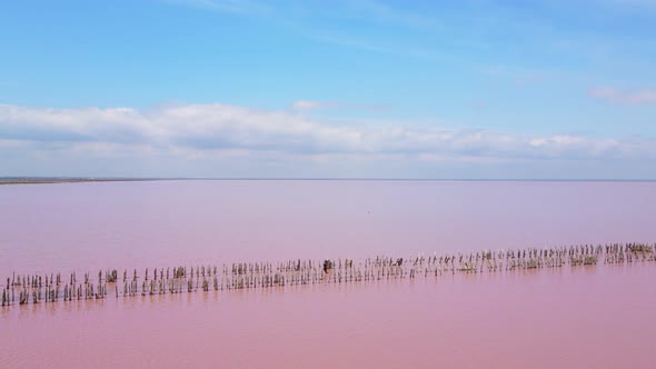 SasykSivash is the Largest Lake and Salt Lake on the Crimean Peninsula alt
