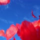 Rose Petals Fly in the Wind Against the Blue Sky - VideoHive Item for Sale