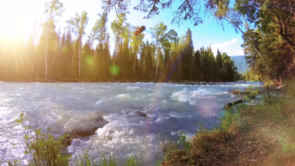 Meadow at Mountain River Bank. Landscape with Green Grass, Pine Trees and Sun Rays. Movement on alt
