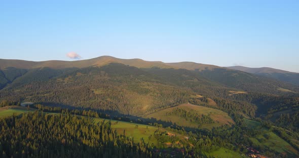Carpathian Mountains. Countryside. Spruce Forests