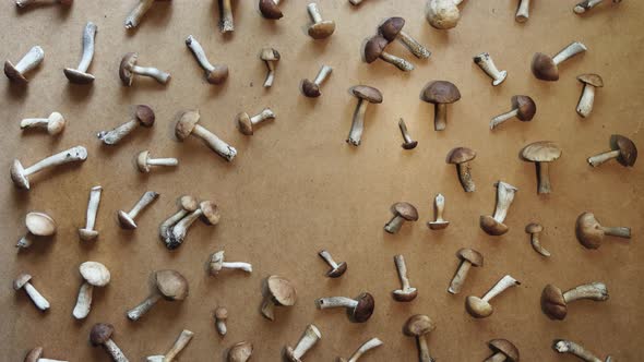 Mushrooms on a Brown Wooden Background. Flat Lay. alt
