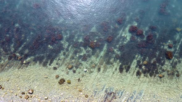 Layered rocky bottom of sedimentary rocks underwater