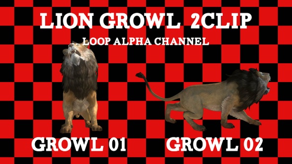 Lion Growl 2clip Loop