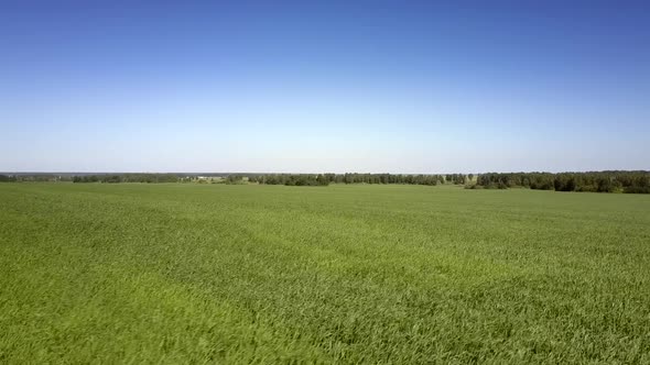 Picturesque Country Nature with Bright Sky and Wide Field alt