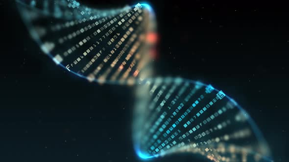 Digital DNA Profile