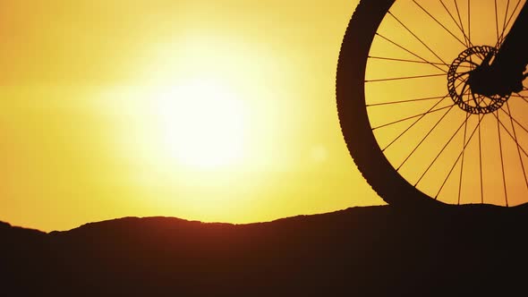 Amazing sunset and a big wheel of a bike in the evening. Silhouette of a bicycle alt