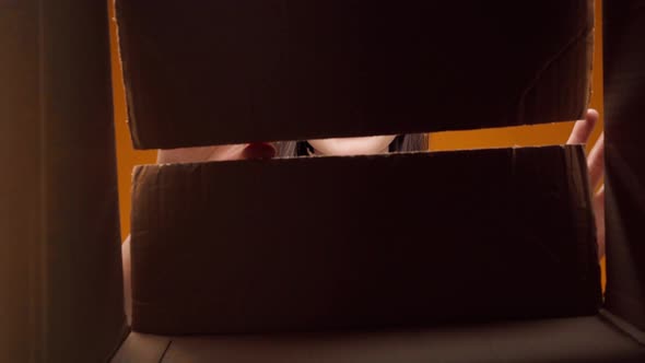 View From the Inside of Box on Young Happily Surprised Woman alt