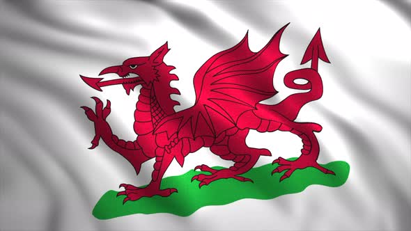 Flag of Wales alt