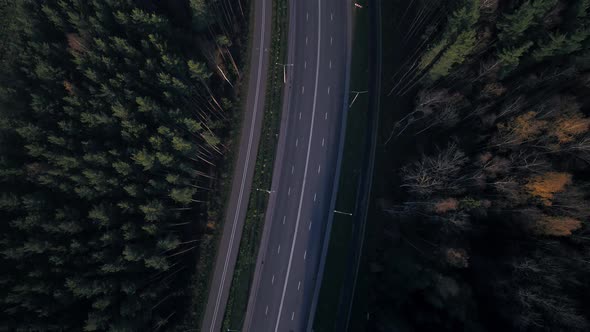 A Highway Through the Forest alt