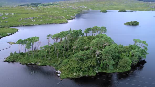 Aerial View of the Pine Trees Island in the Derryclare Lake alt