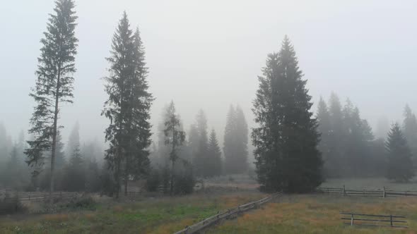 Morning Fog in Mountain Valley alt