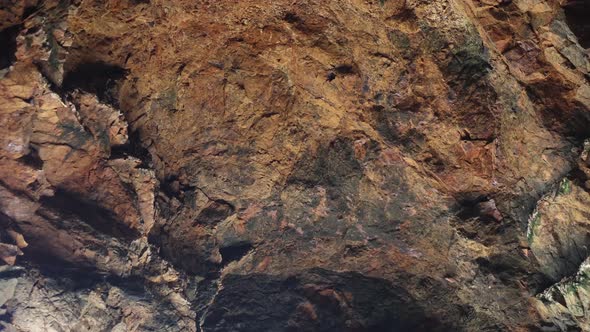 A slow motion close up shot of coastal swallows flying up onto a cave roof in Southern Australia. alt