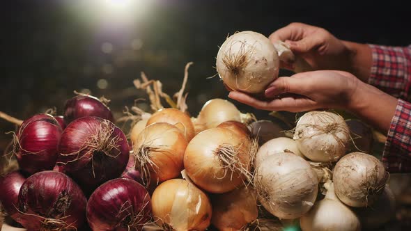 A Woman Holding a White Onion Head in Her Hands Closeup alt