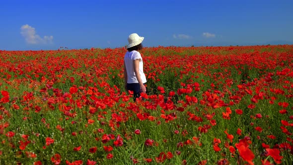 Woman with a Hat in a Red Poppy Field. White Clothes. Blue Sky. General view alt