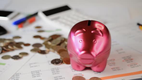 Pink Piggy Bank alt