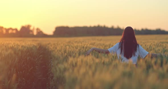 Youg Brunette Woman is Admiring Beautiful Sunrise in Rye Field Rear View  Prores alt