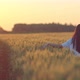 Youg Brunette Woman is Admiring Beautiful Sunrise in Rye Field Rear View  Prores - VideoHive Item for Sale