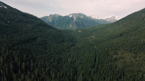Drone Flying Backwards Revealing Snowy Mountain Peaks Above Forest Valley alt