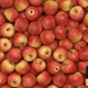 Apple Transition - VideoHive Item for Sale