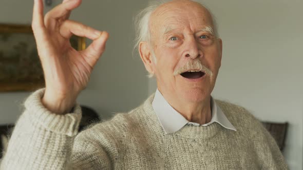 Portrait of elderly retired man 80s smiling in happy emotions and showing ok sign at camera