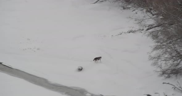 Helicopter aerial shot of sun gleaming down over houses on cliffs near ocean, day alt