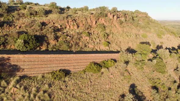 AERIAL Tracking Cyclist going Up Hill with Green Trees and Green Field alt