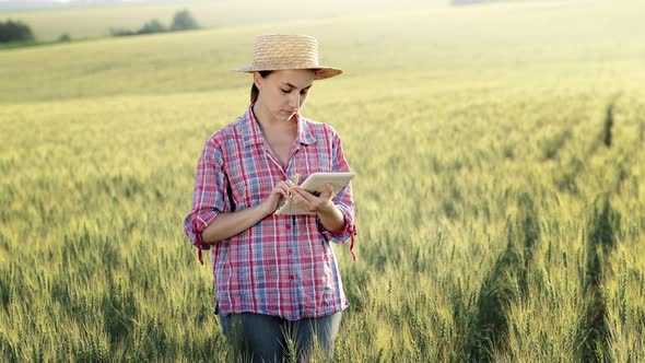 A young fcrmer checks a grain field and sends data to the cloud from a tablet. alt