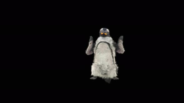 75 Penguin Dancing 4K alt