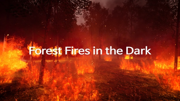 Forest Fires in the Dark alt