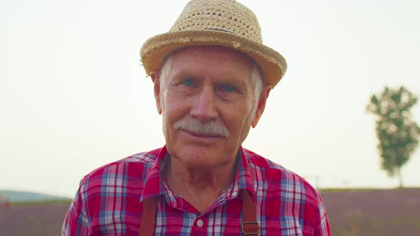 Senior Grandfather Man Farmer Growing Lavender in Blooming Flowers Field of Purple Lavender Flowers alt