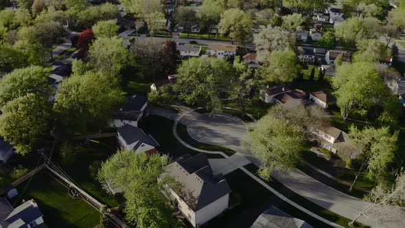 Aerial Drone View of Real Estate in American Suburb at Summer Time alt