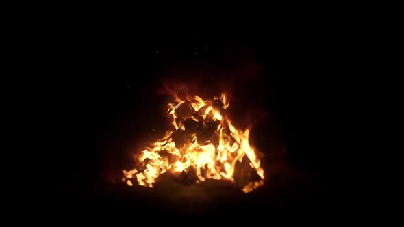 Burning fire. Bonfire. Closeup of flames burning on black background