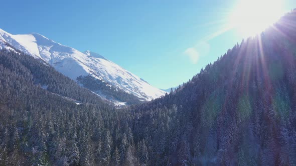 Flying Over the Mountains in the Winter