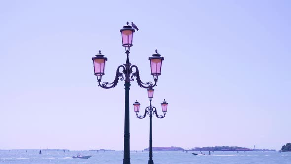 Pigeon Sits on Triple Streetlight on Waterfront in Venice alt