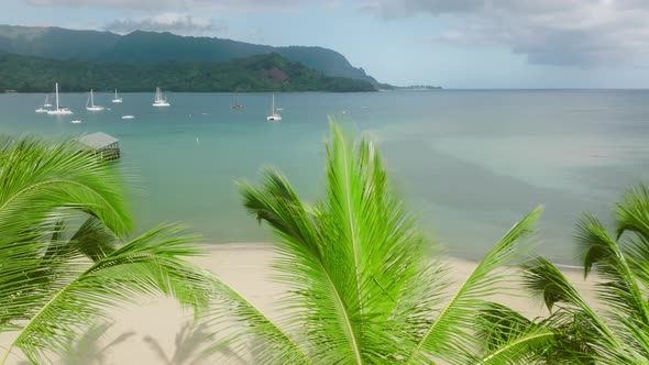 Cinematic Hawaii Landscape in Sunrise Light with Green Mountain Under Cloud alt
