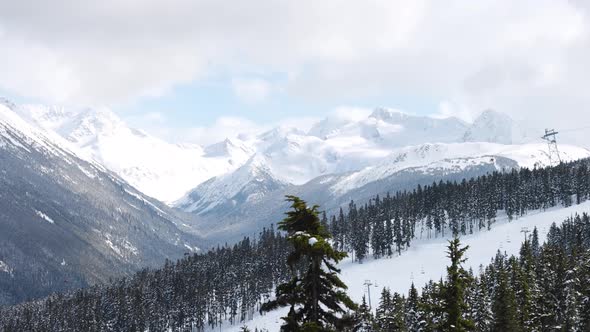 Snowy Forest on Top of the Mountains in Winter During Sunny Morning alt