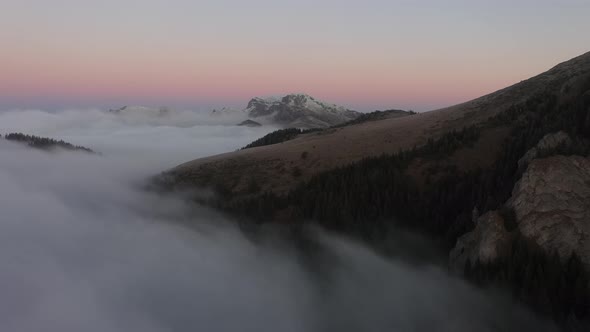 Mountain Forest At High Altitude Flooded With Clouds alt