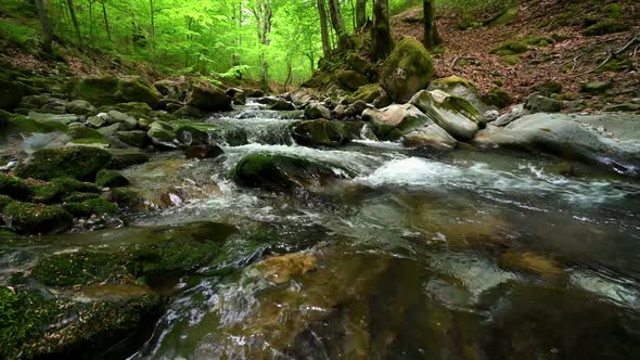 Fast flowing mountain stream in the spring forest alt